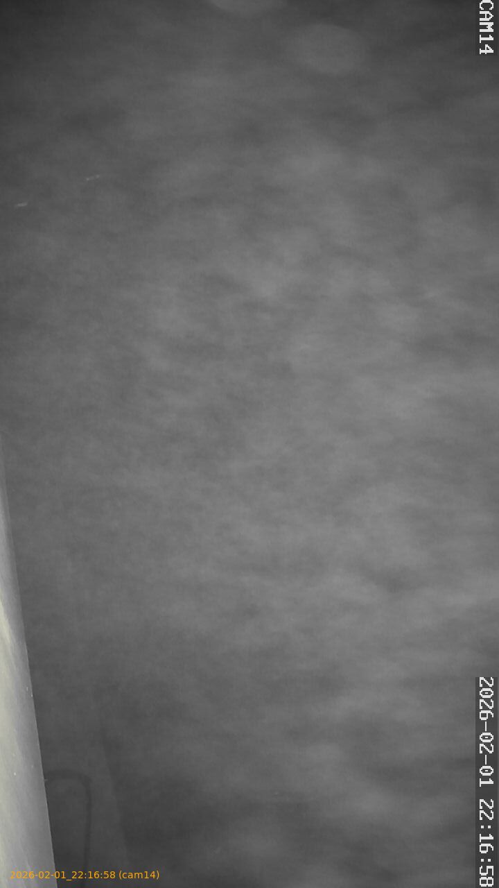 thumbnail_20260201221658