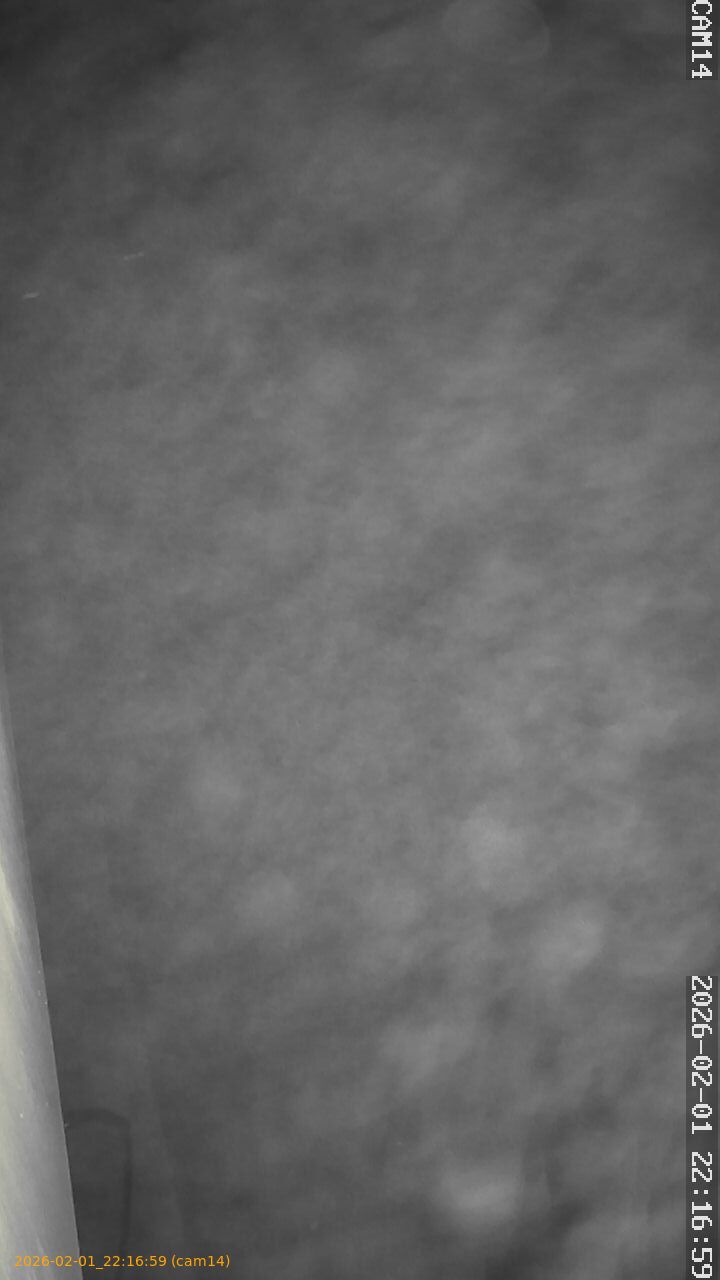 thumbnail_20260201221659