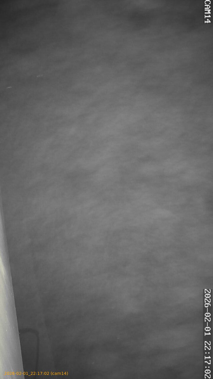 thumbnail_20260201221702