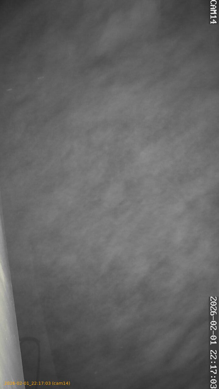 thumbnail_20260201221703