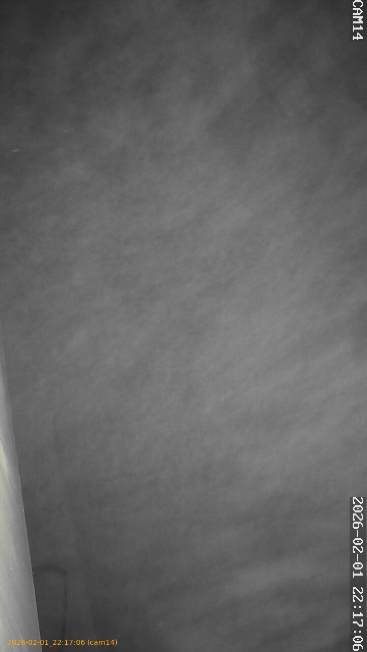 thumbnail_20260201221706