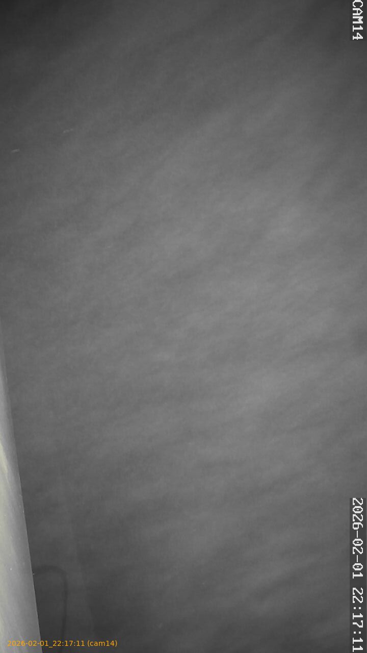 thumbnail_20260201221711