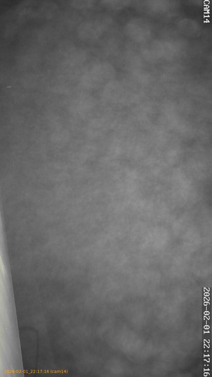 thumbnail_20260201221716