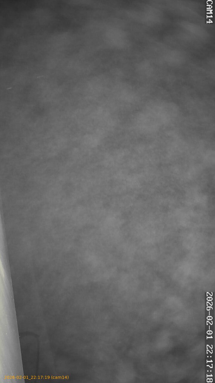 thumbnail_20260201221718