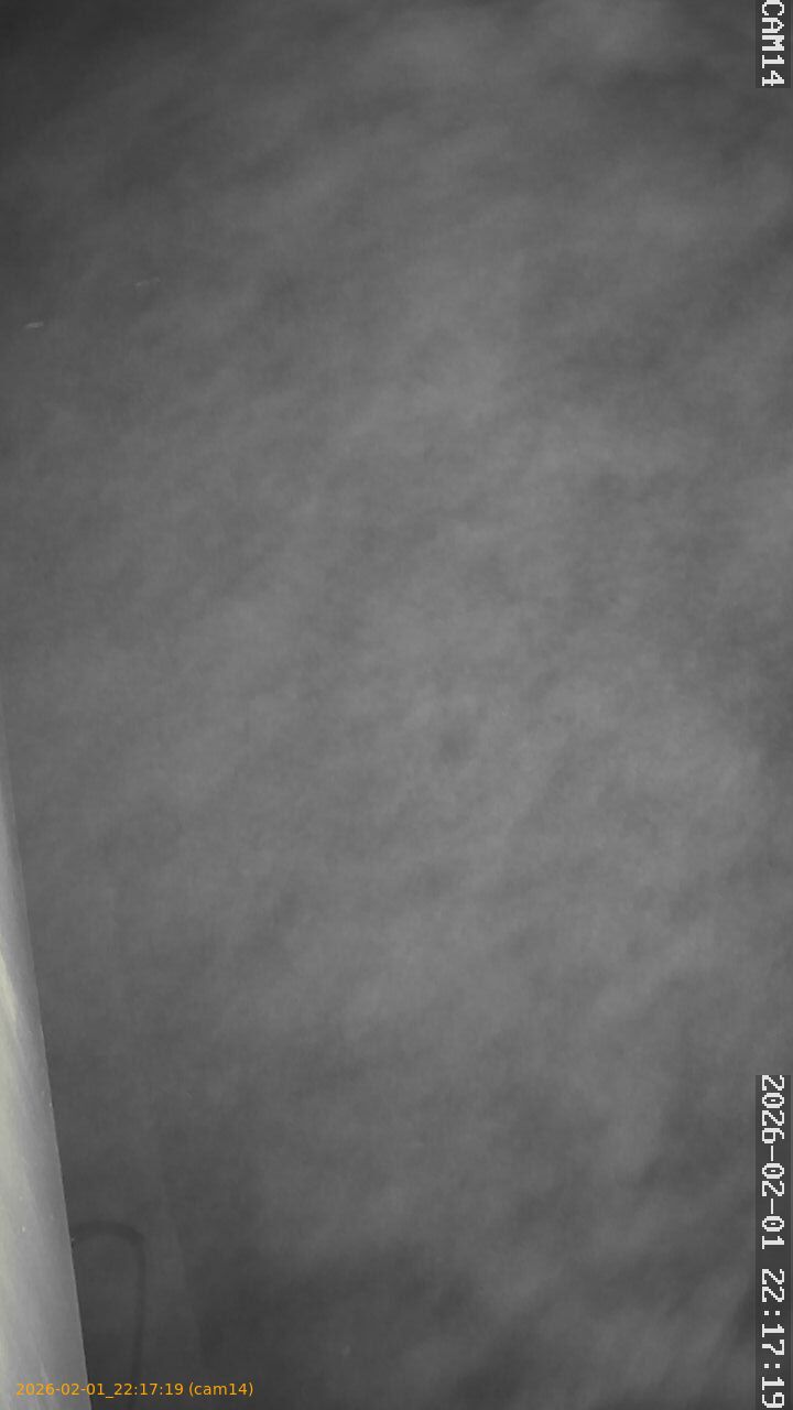 thumbnail_20260201221719