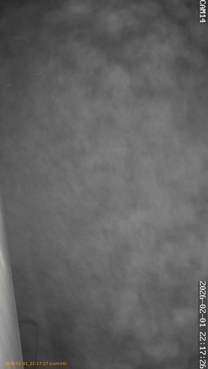 thumbnail_20260201221727