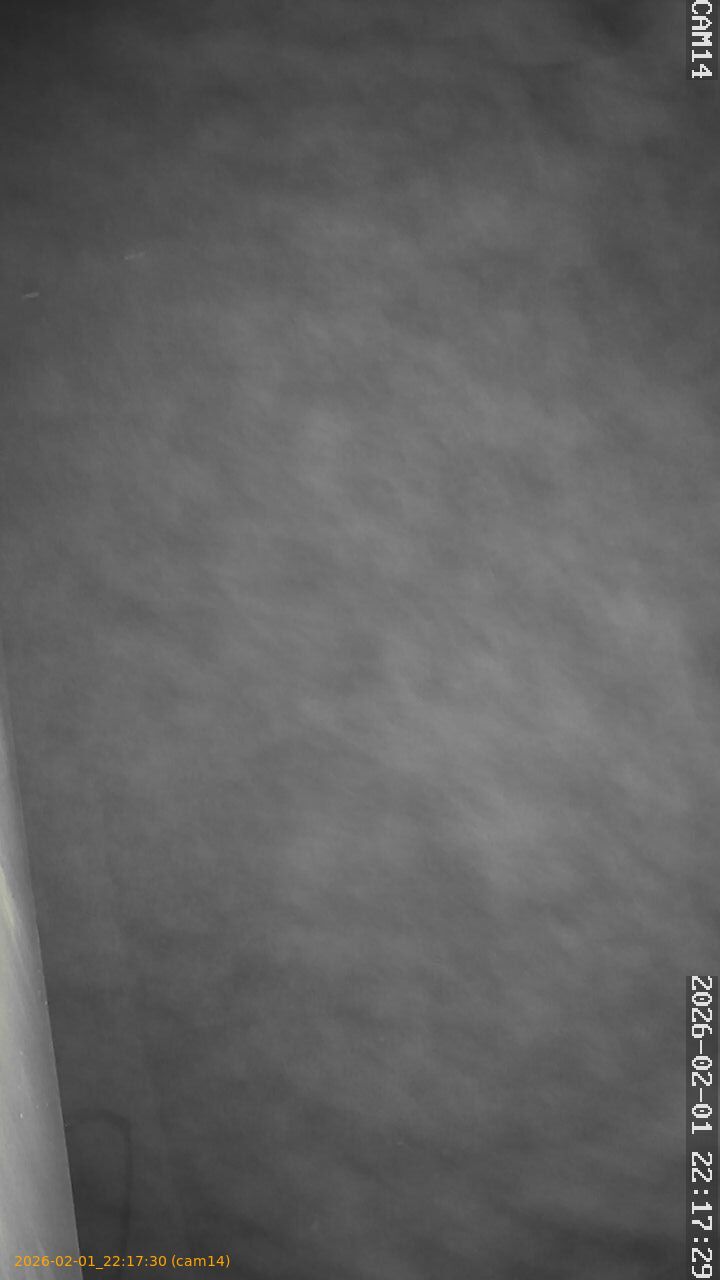 thumbnail_20260201221730