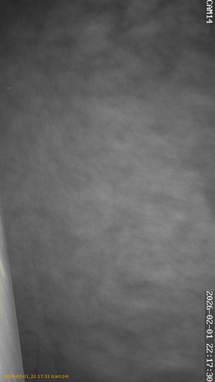 thumbnail_20260201221731