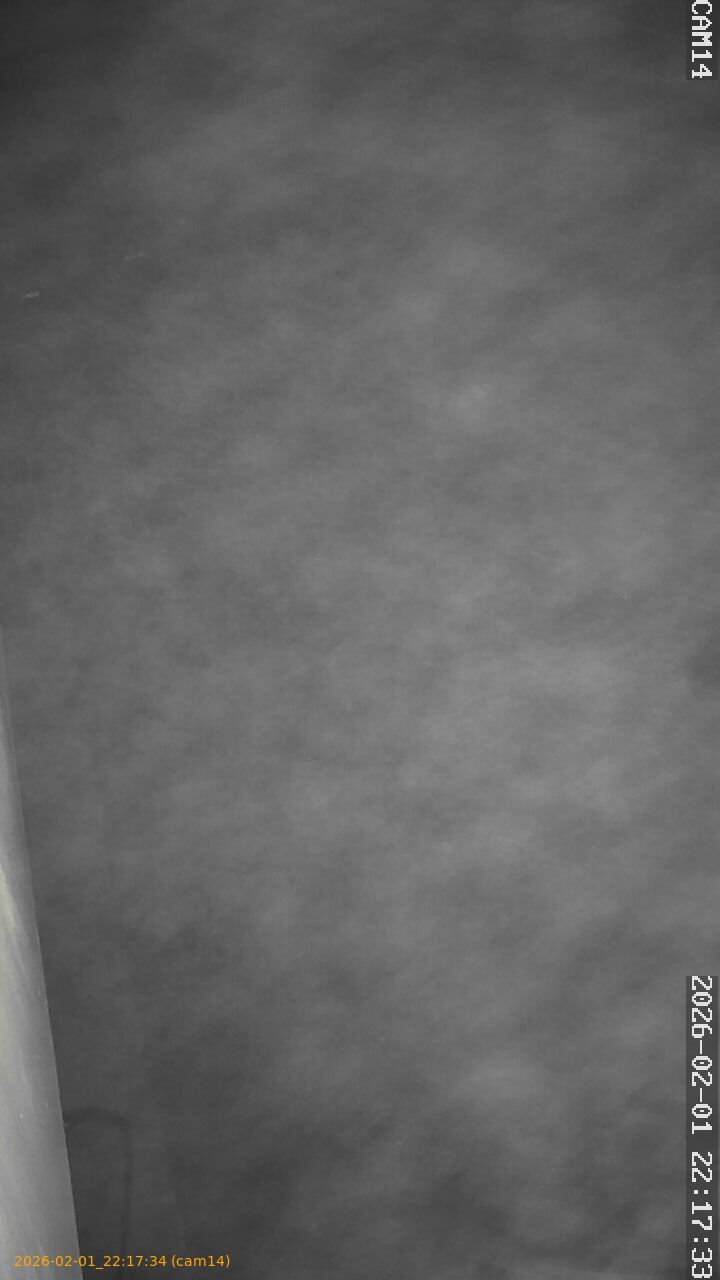 thumbnail_20260201221734