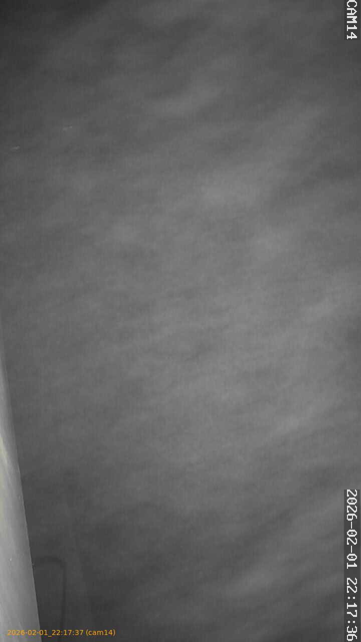 thumbnail_20260201221737