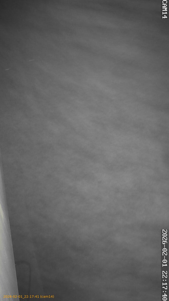 thumbnail_20260201221741