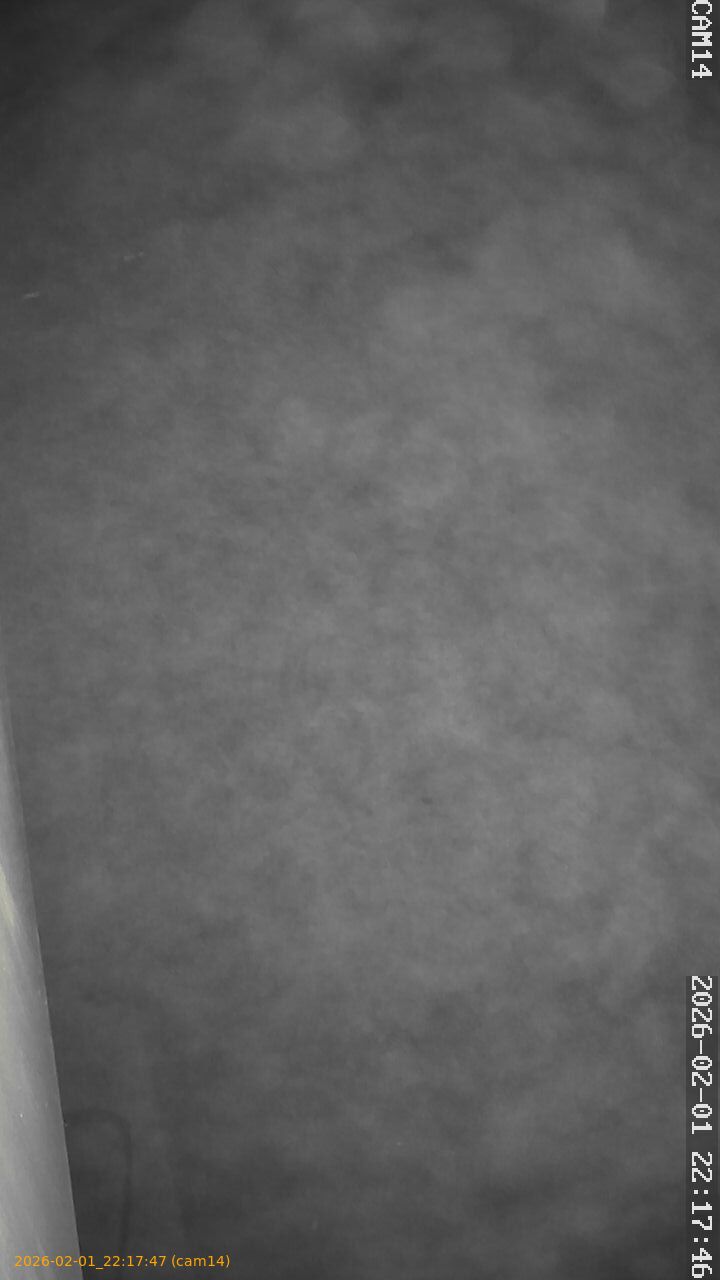 thumbnail_20260201221747