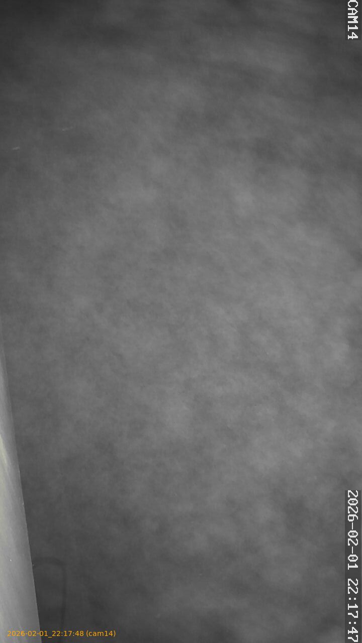 thumbnail_20260201221748