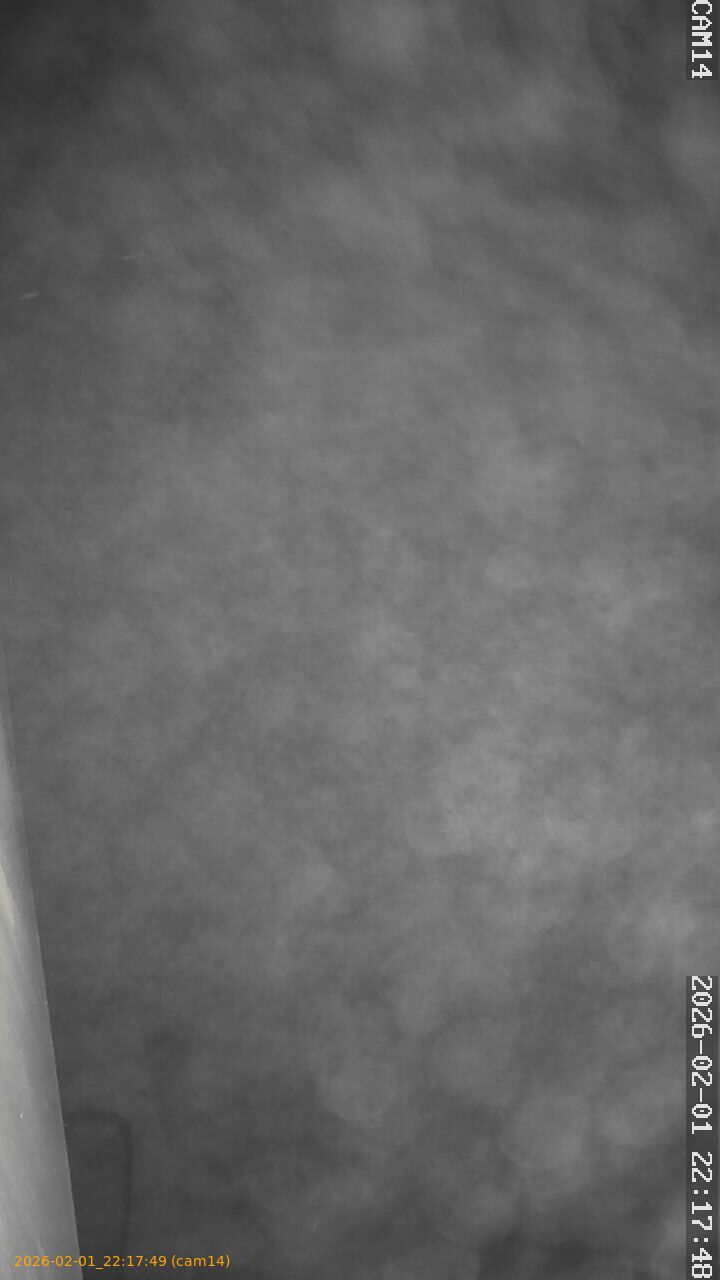 thumbnail_20260201221749