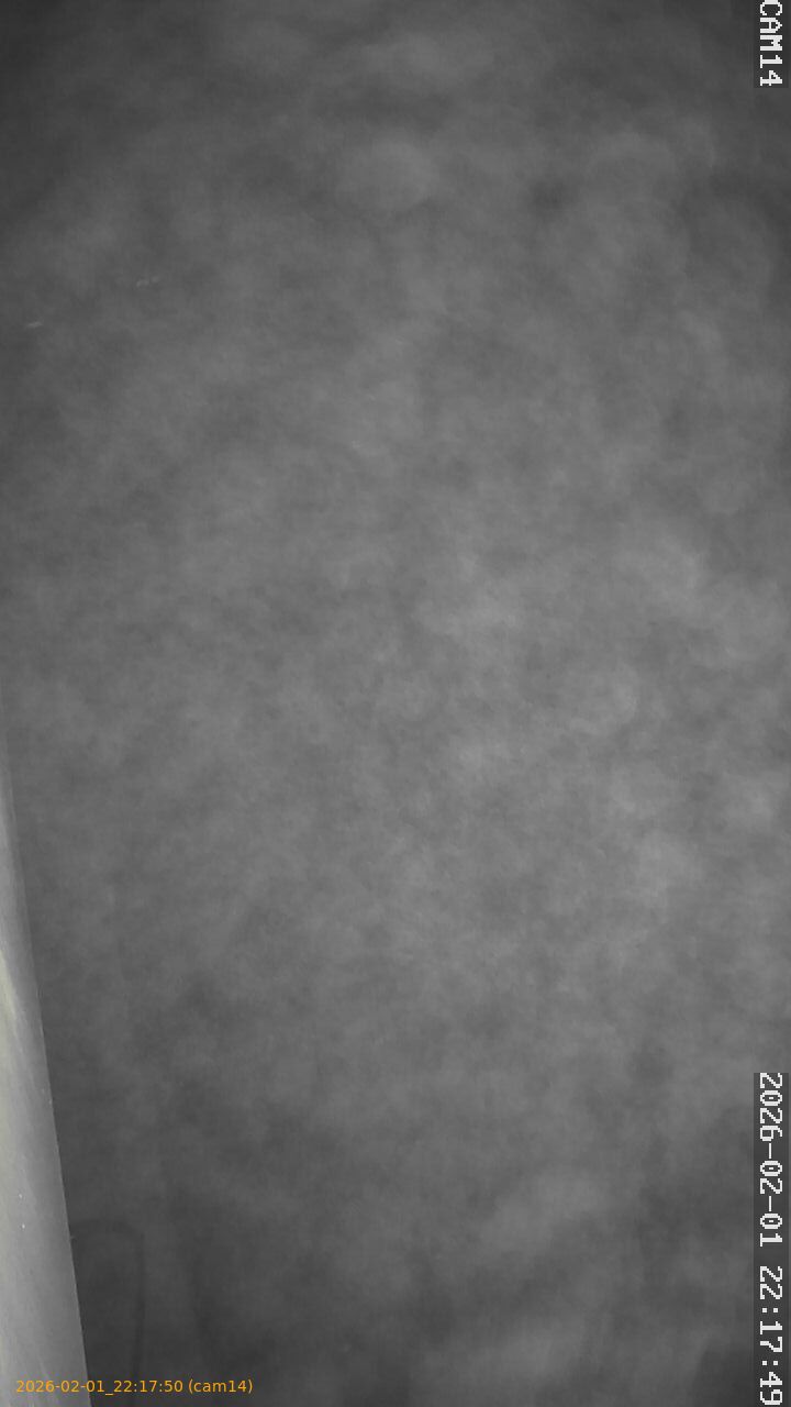 thumbnail_20260201221750