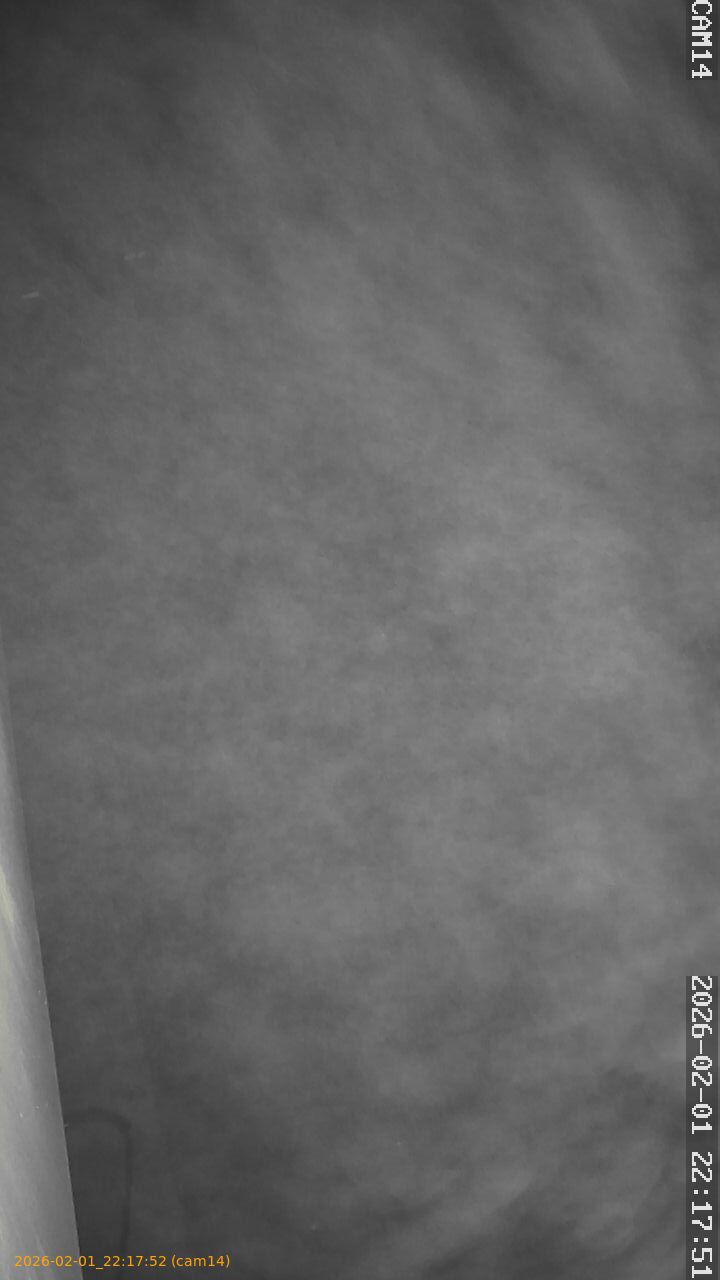 thumbnail_20260201221752