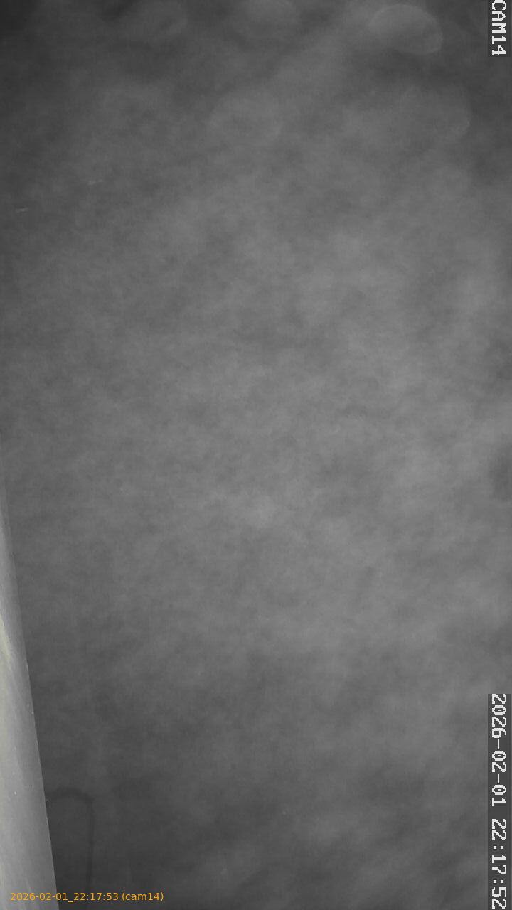 thumbnail_20260201221753