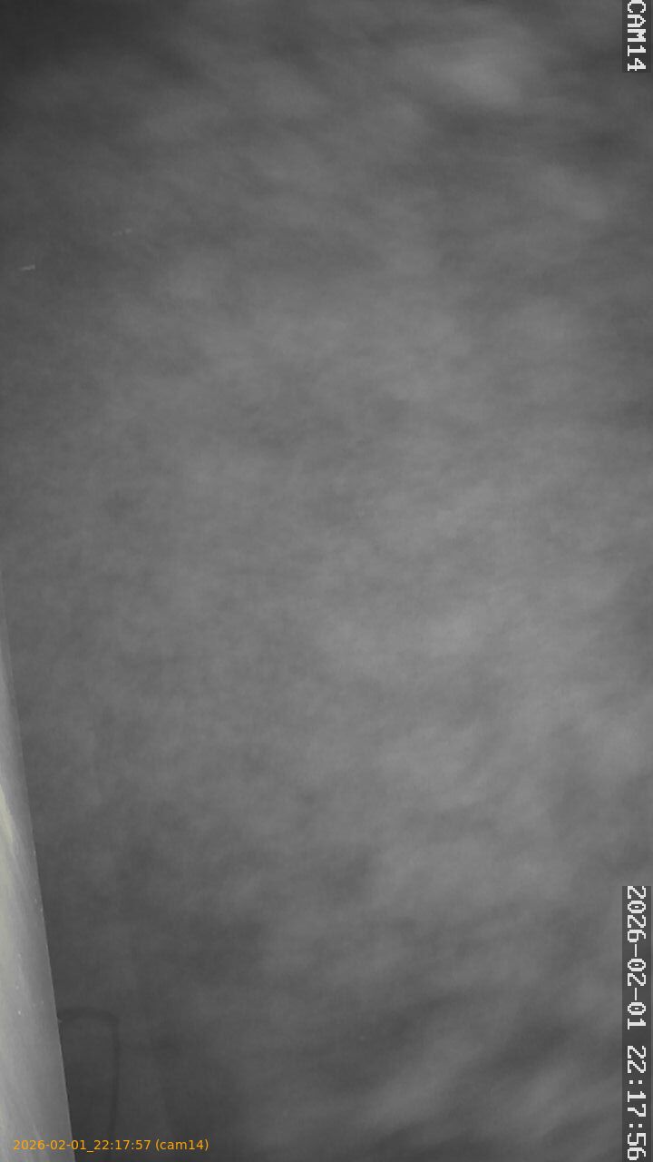 thumbnail_20260201221757