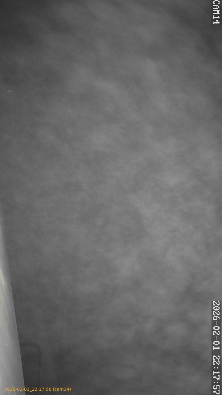 thumbnail_20260201221758