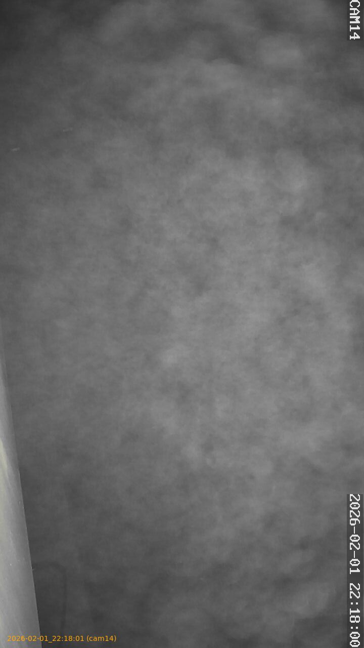 thumbnail_20260201221801