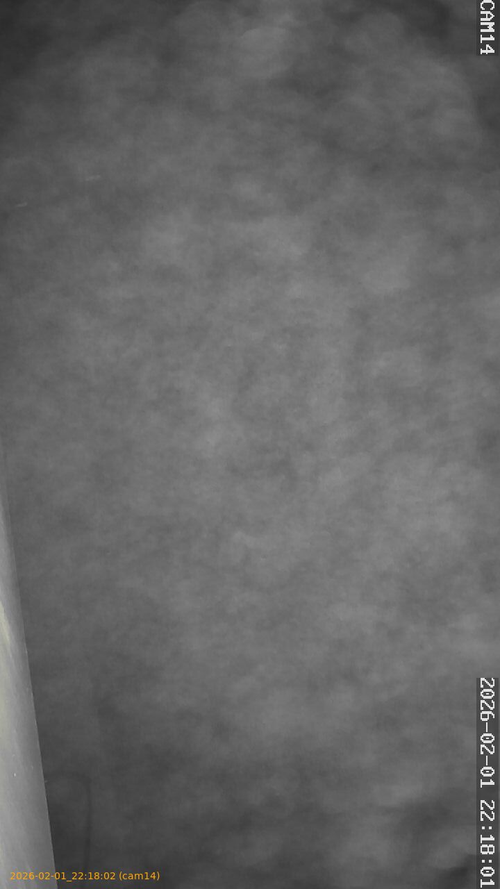 thumbnail_20260201221802