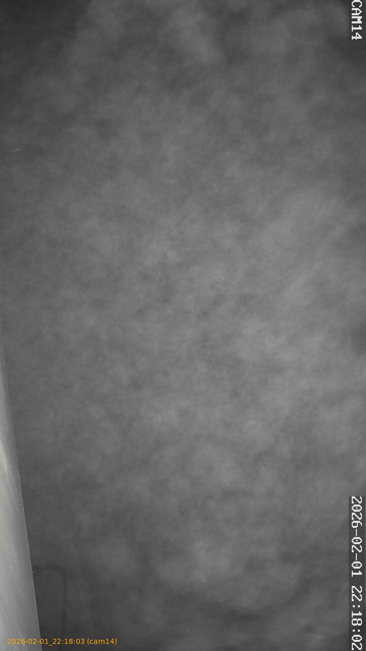 thumbnail_20260201221803