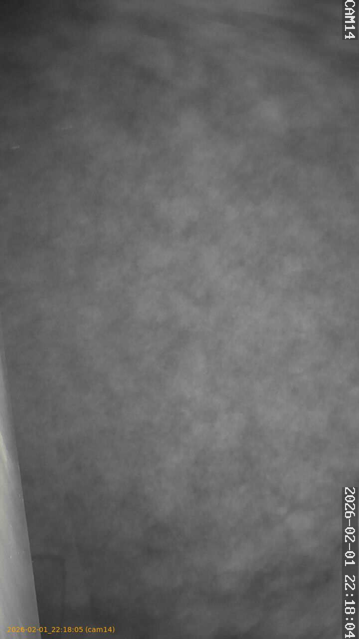 thumbnail_20260201221805