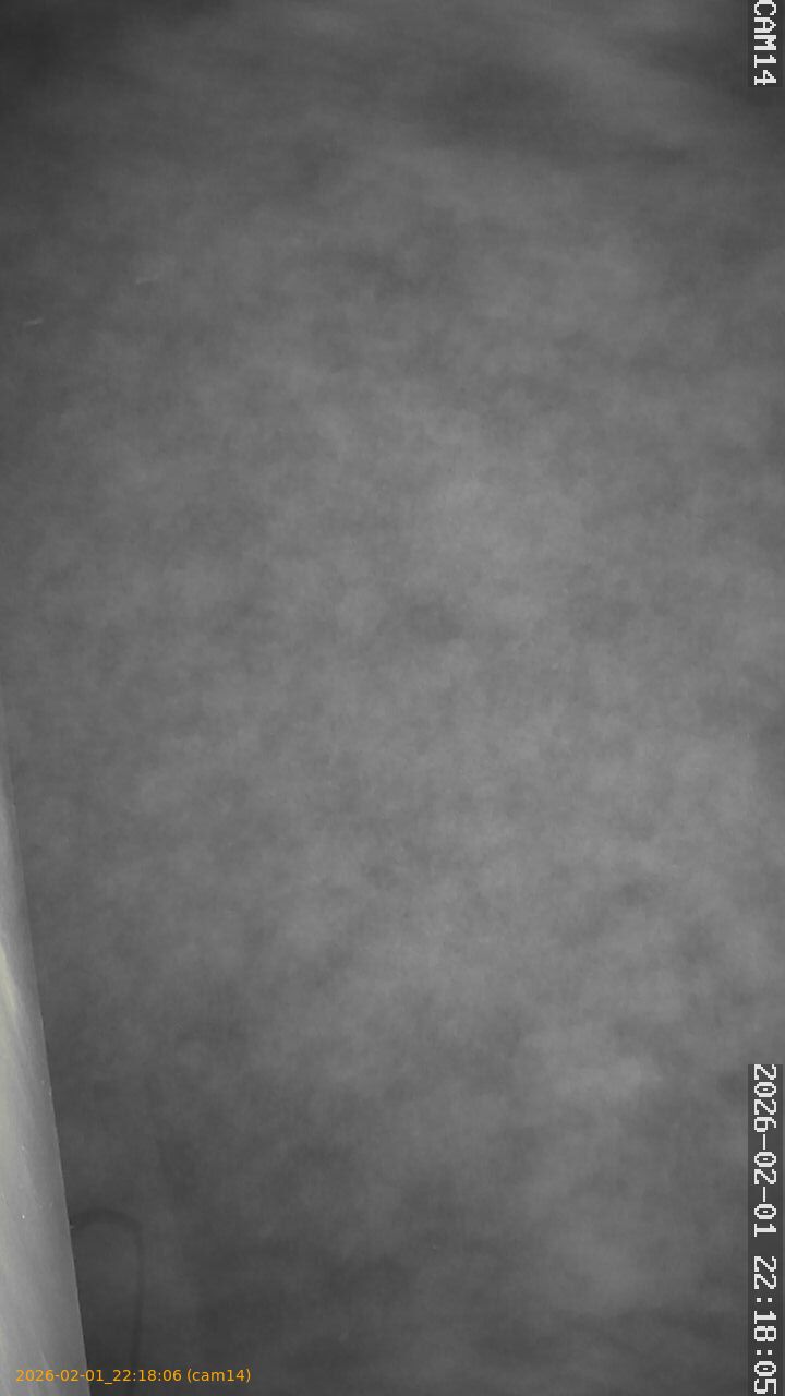 thumbnail_20260201221806