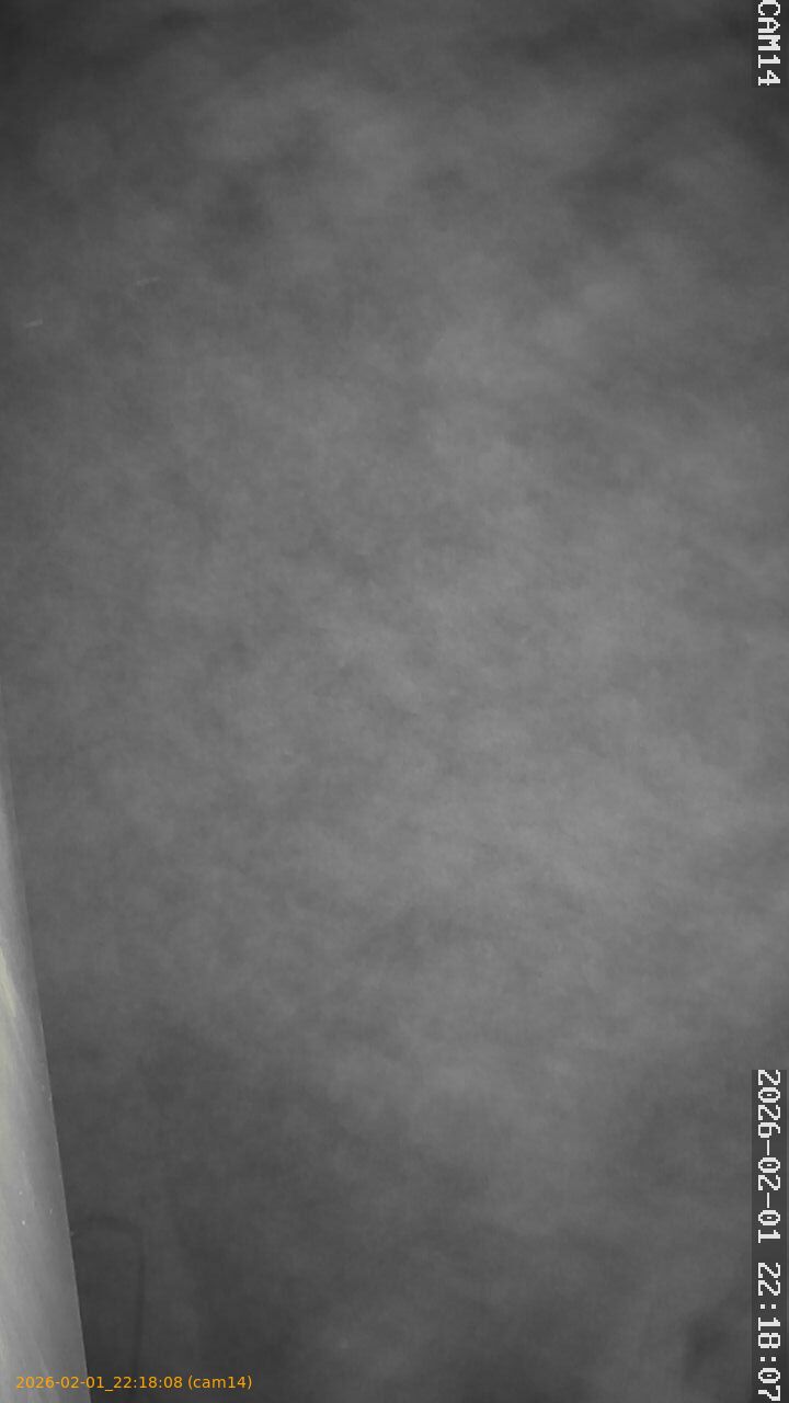 thumbnail_20260201221808