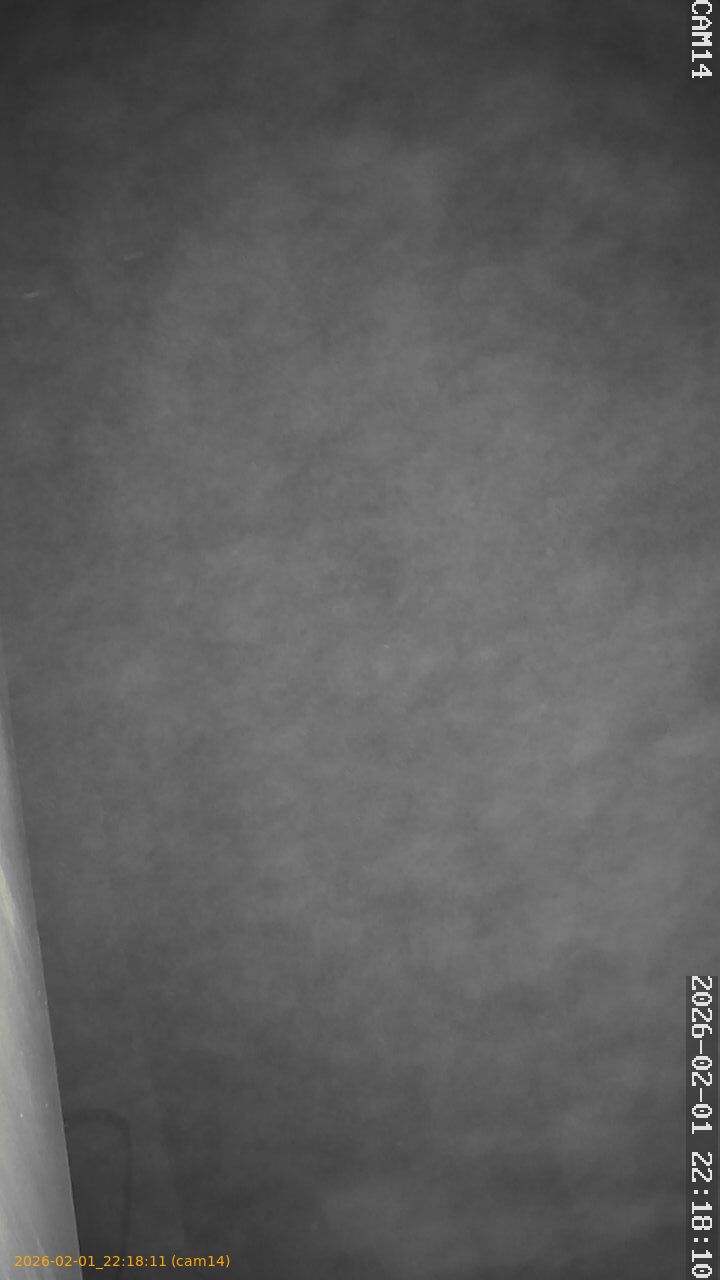 thumbnail_20260201221811