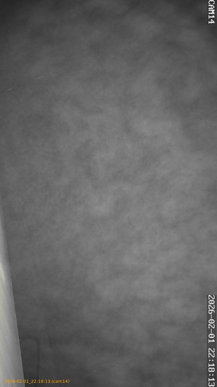 thumbnail_20260201221813