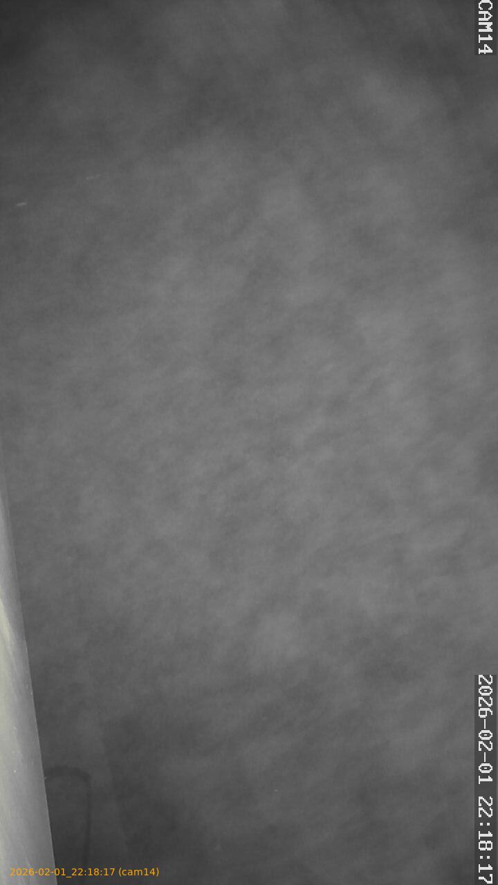 thumbnail_20260201221817