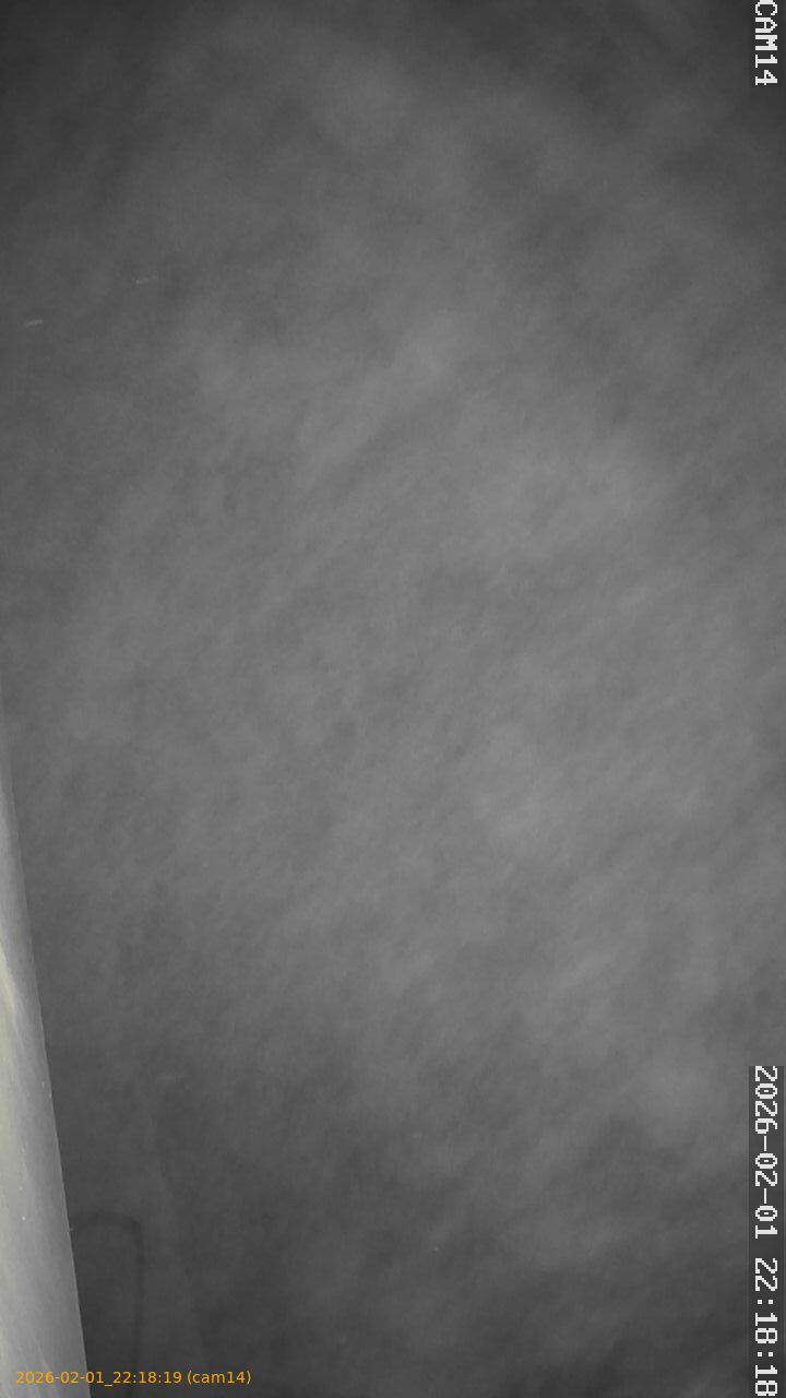 thumbnail_20260201221819