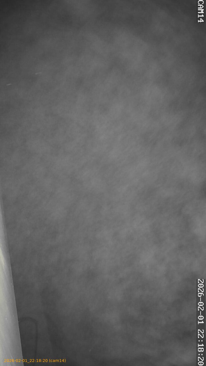 thumbnail_20260201221820