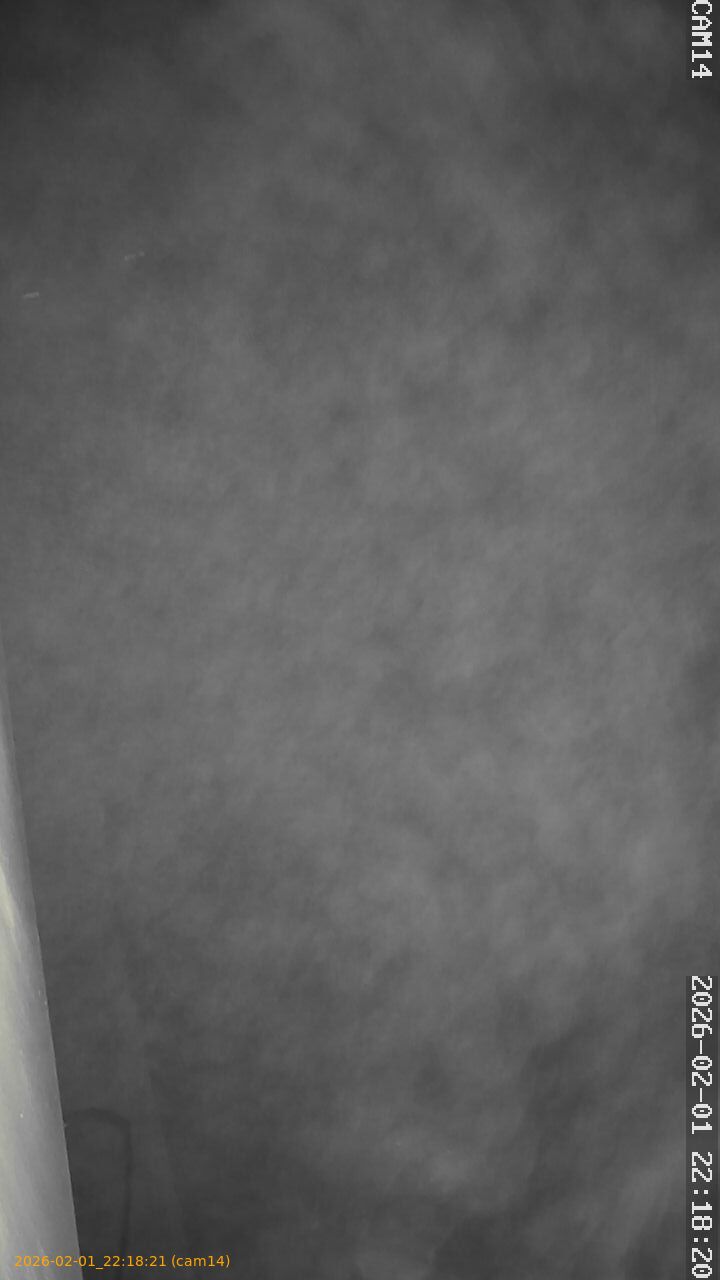 thumbnail_20260201221821