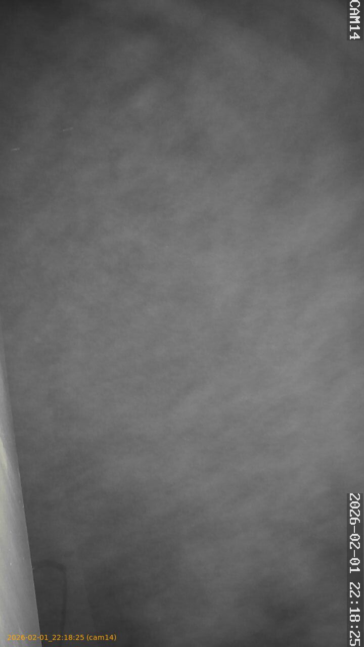 thumbnail_20260201221825