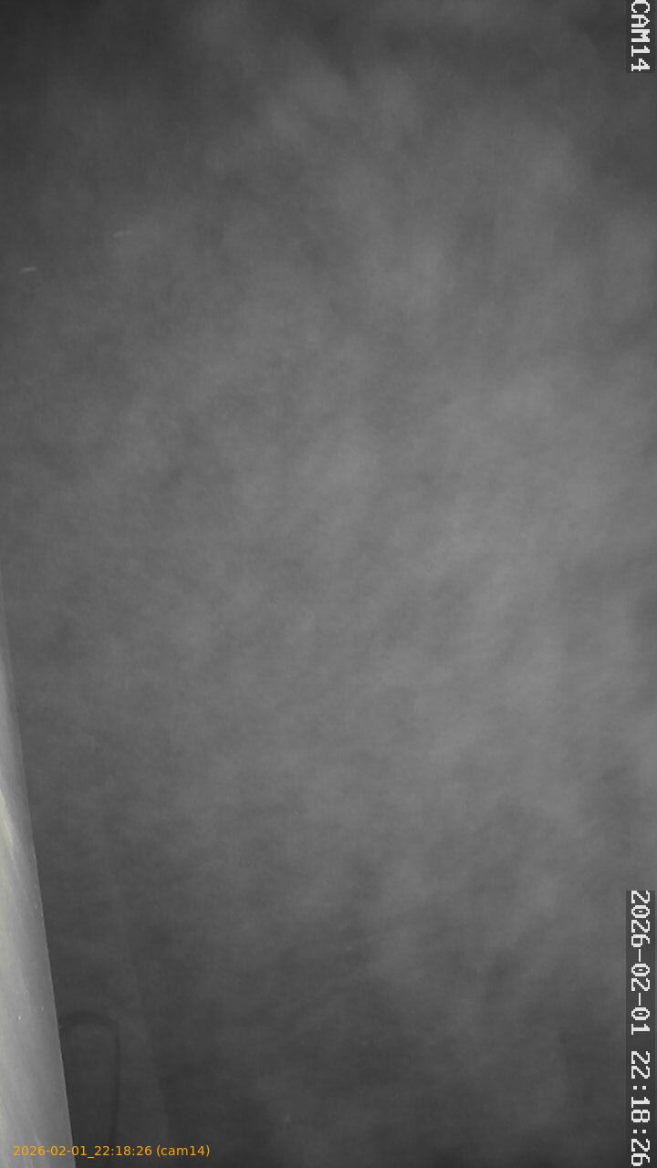 thumbnail_20260201221826