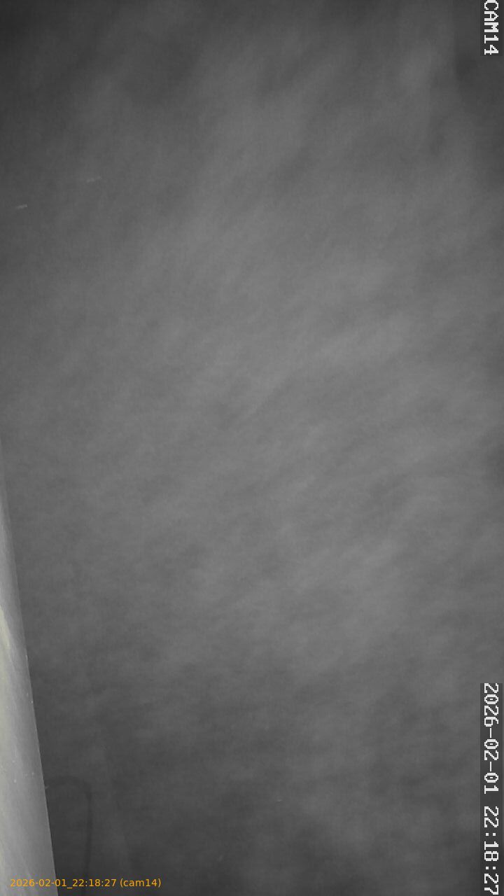 thumbnail_20260201221827