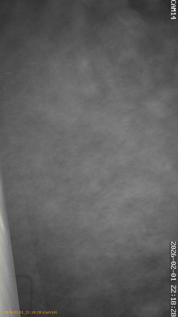 thumbnail_20260201221828