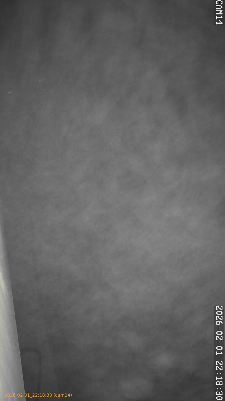 thumbnail_20260201221830