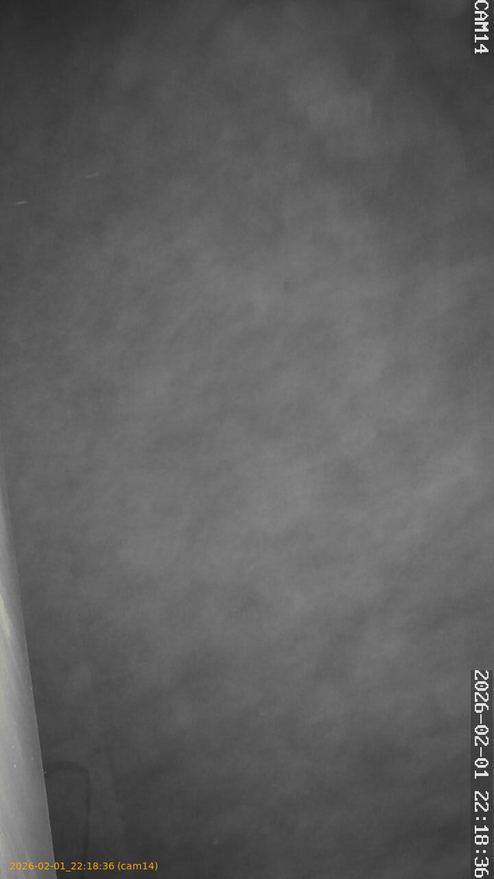 thumbnail_20260201221836