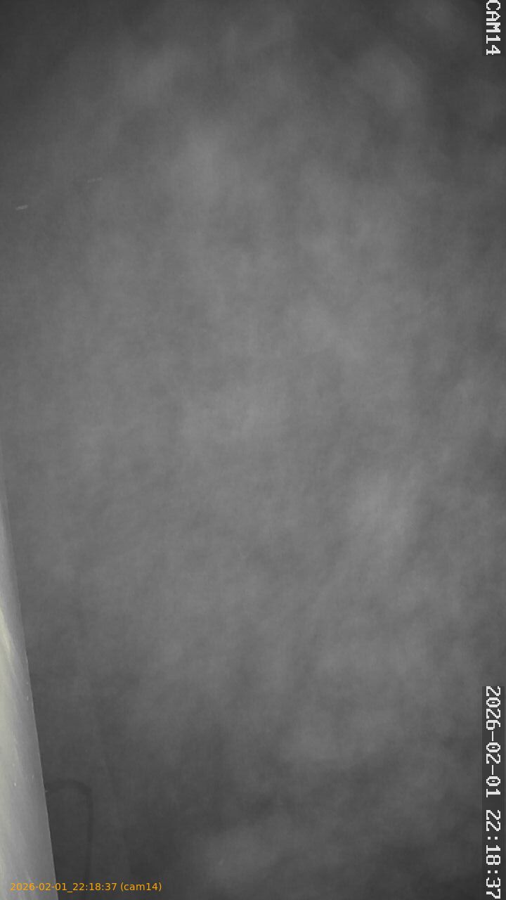 thumbnail_20260201221837