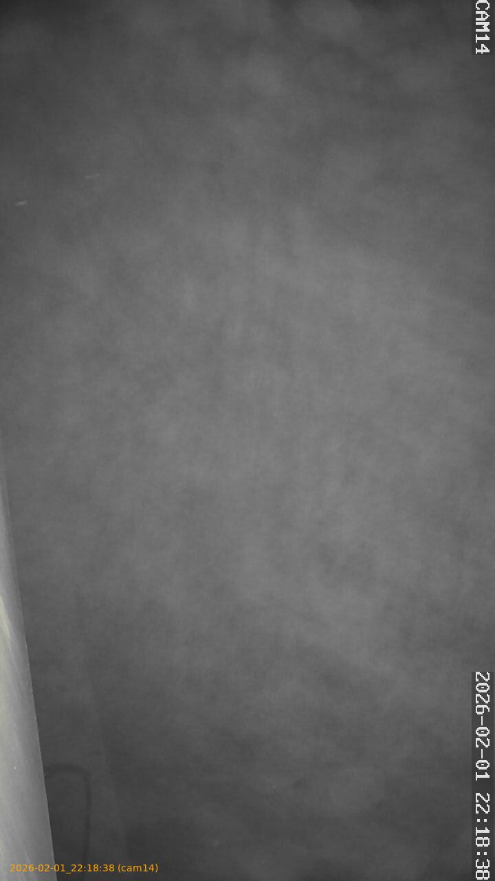 thumbnail_20260201221838