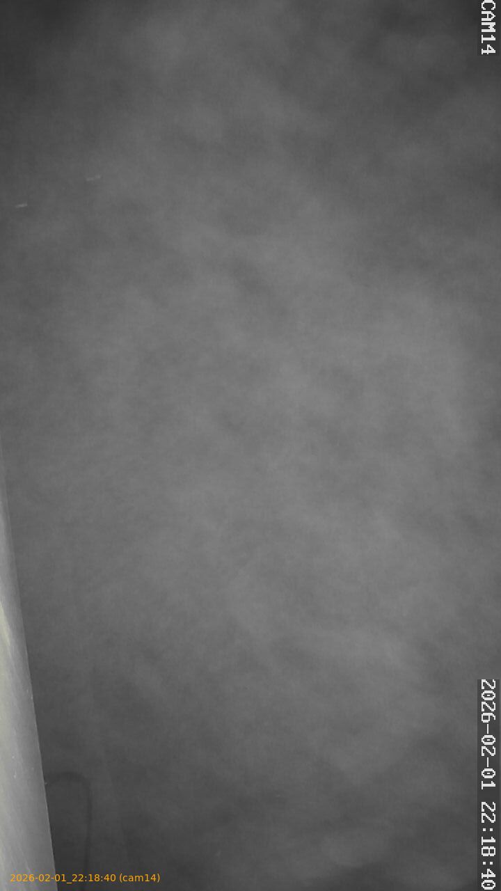 thumbnail_20260201221840