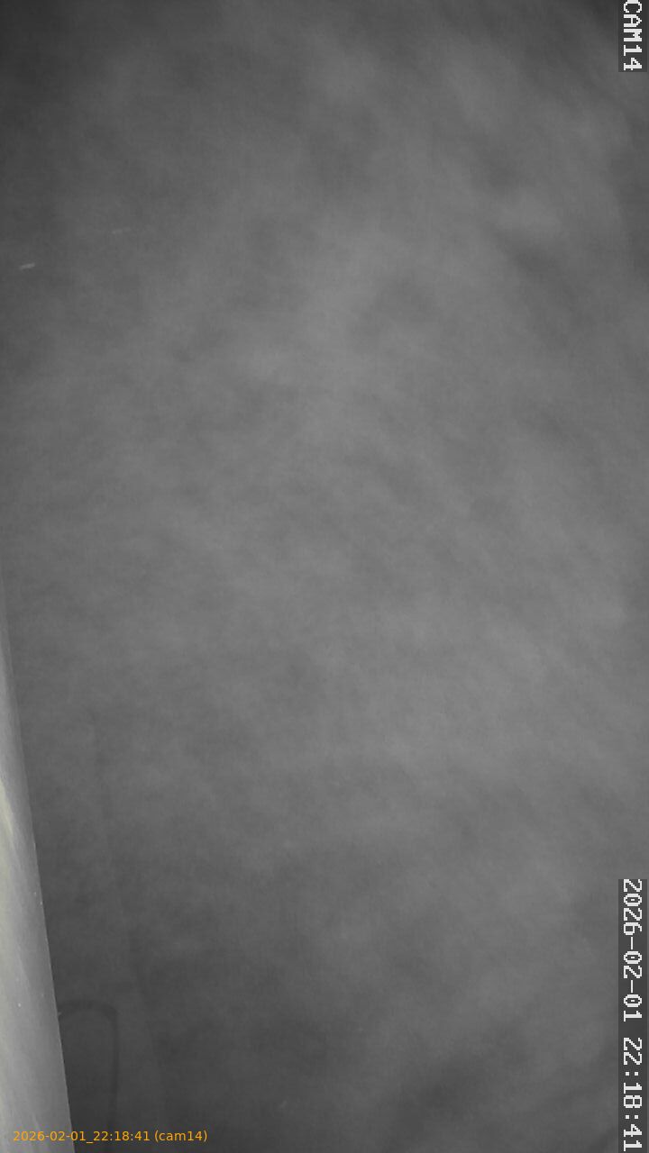 thumbnail_20260201221841