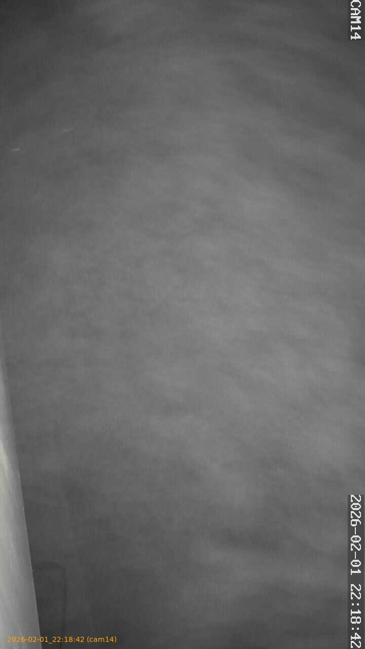 thumbnail_20260201221842