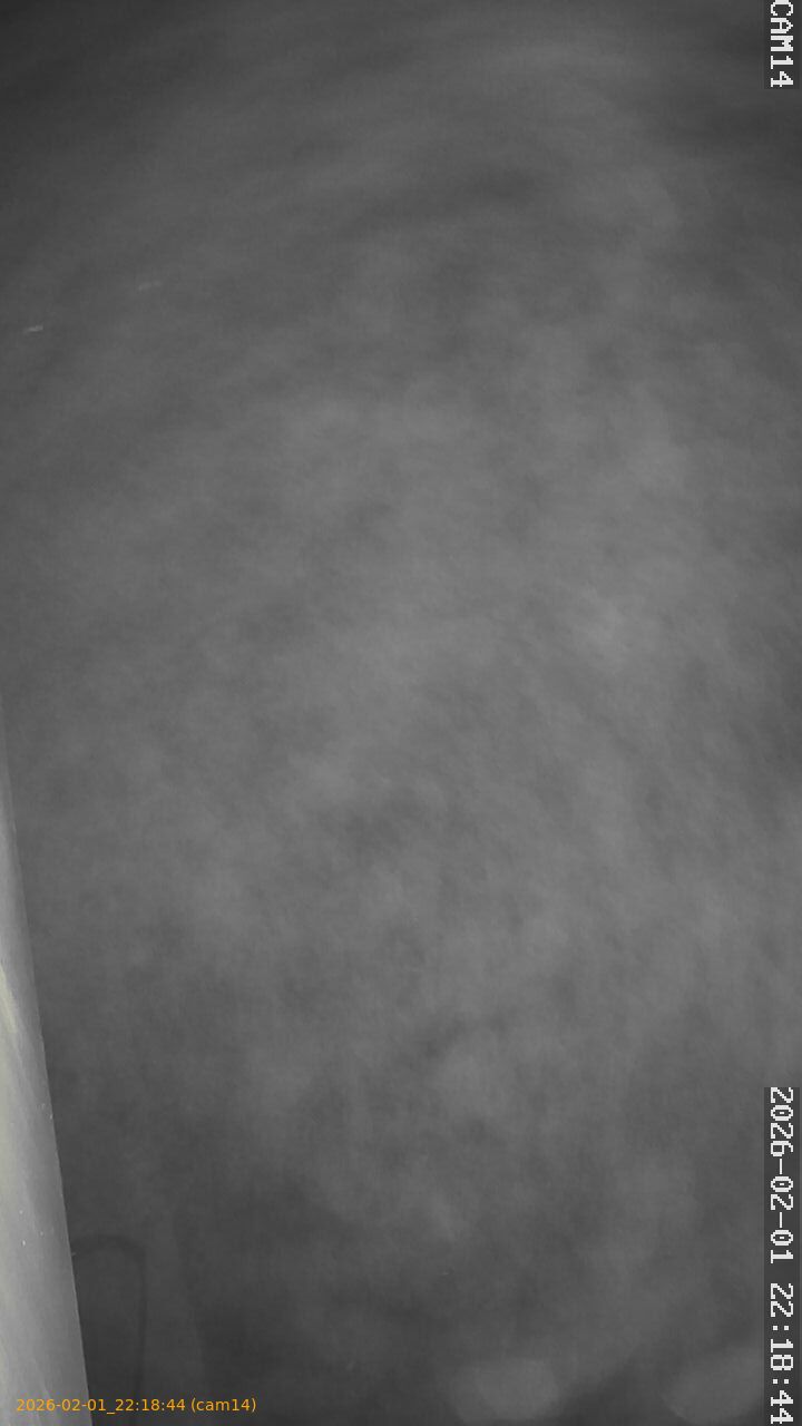 thumbnail_20260201221844