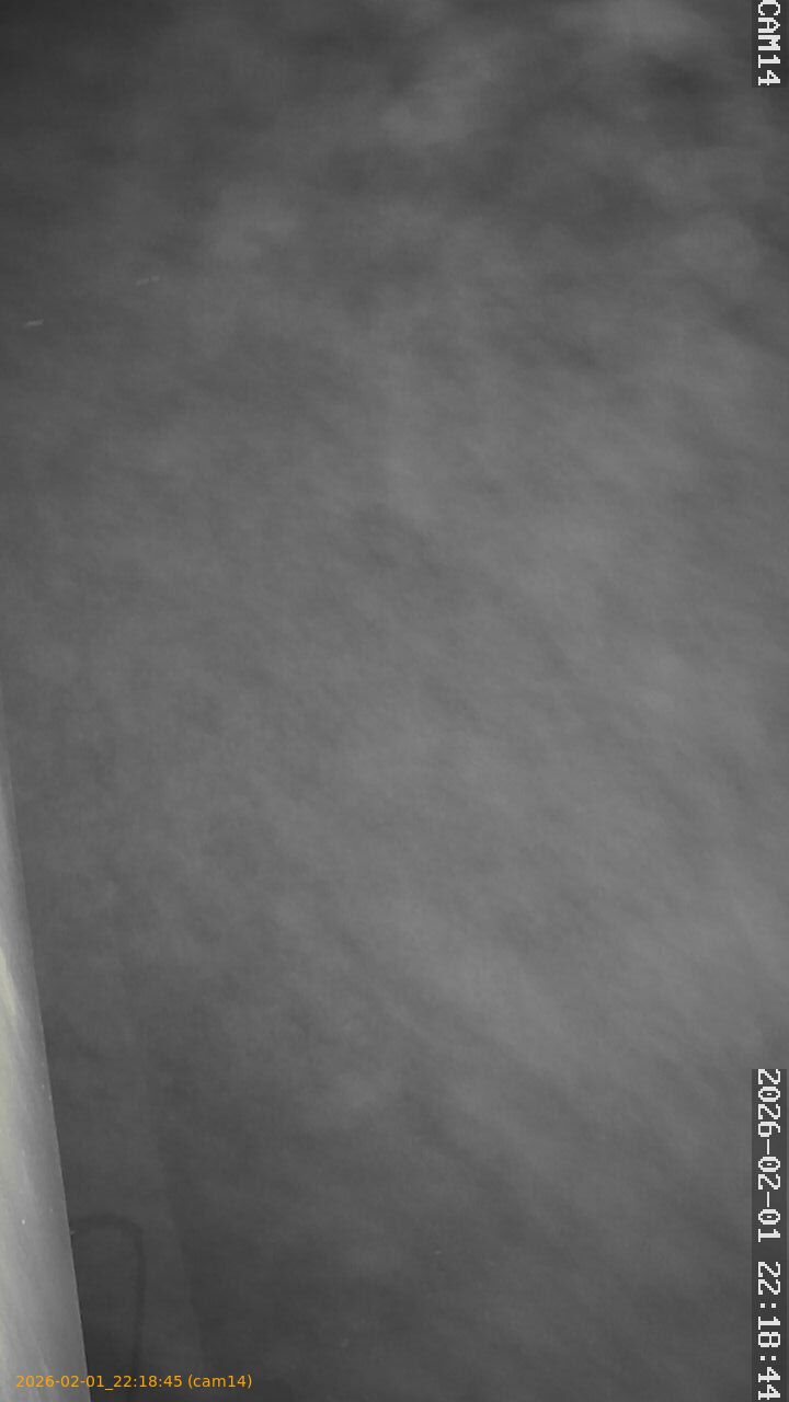 thumbnail_20260201221845