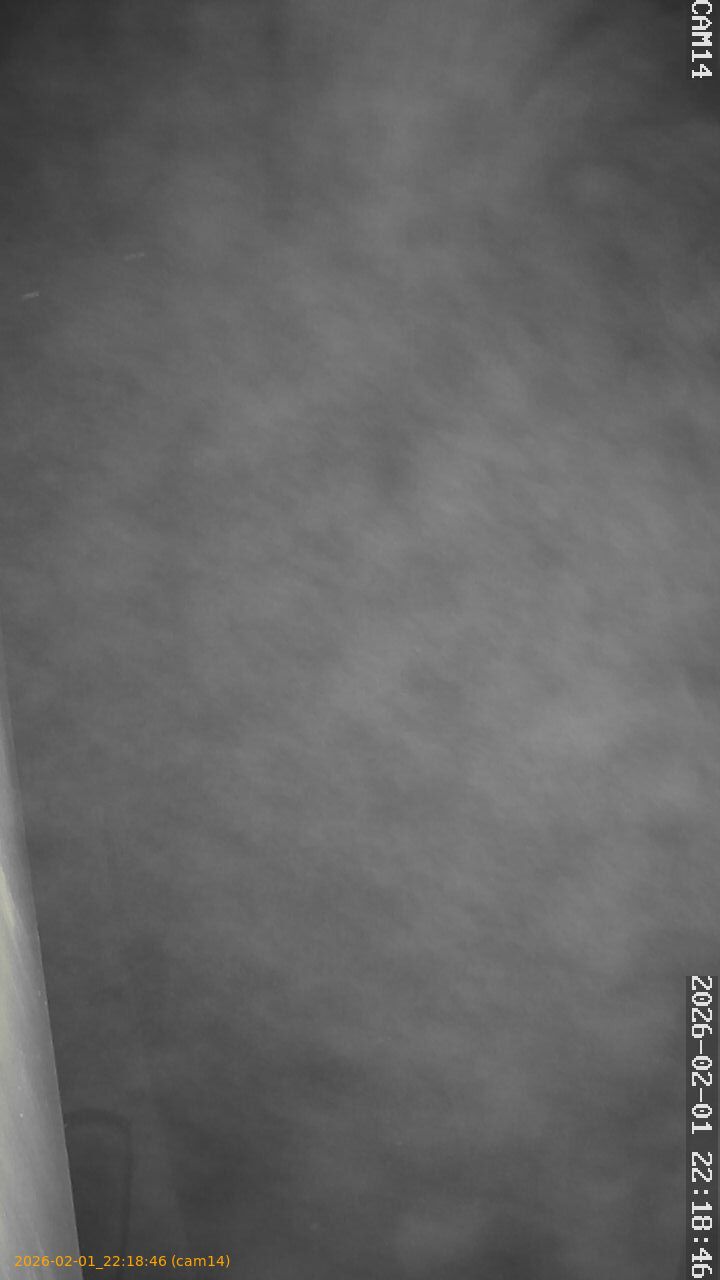 thumbnail_20260201221846