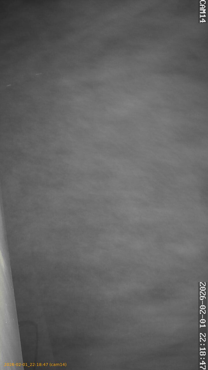 thumbnail_20260201221847